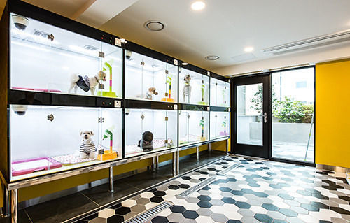 Sleep With Your Own Pet Only - The Petel Hotel Busan Exterior photo