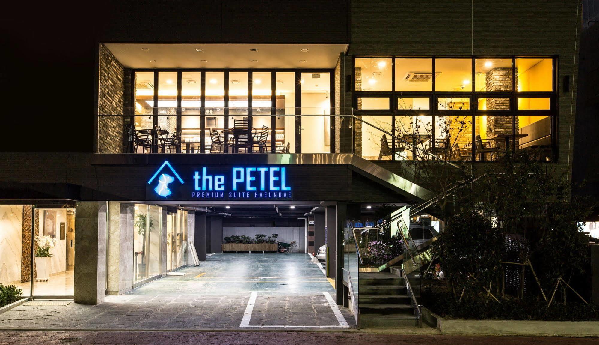 Sleep With Your Own Pet Only - The Petel Hotel Busan Exterior photo