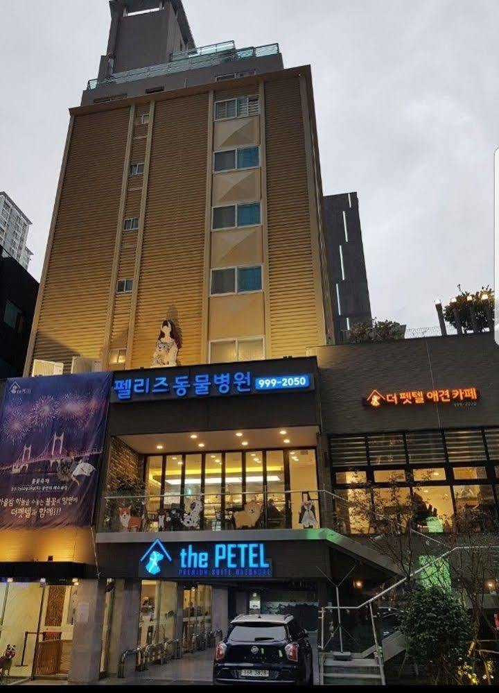 Sleep With Your Own Pet Only - The Petel Hotel Busan Exterior photo