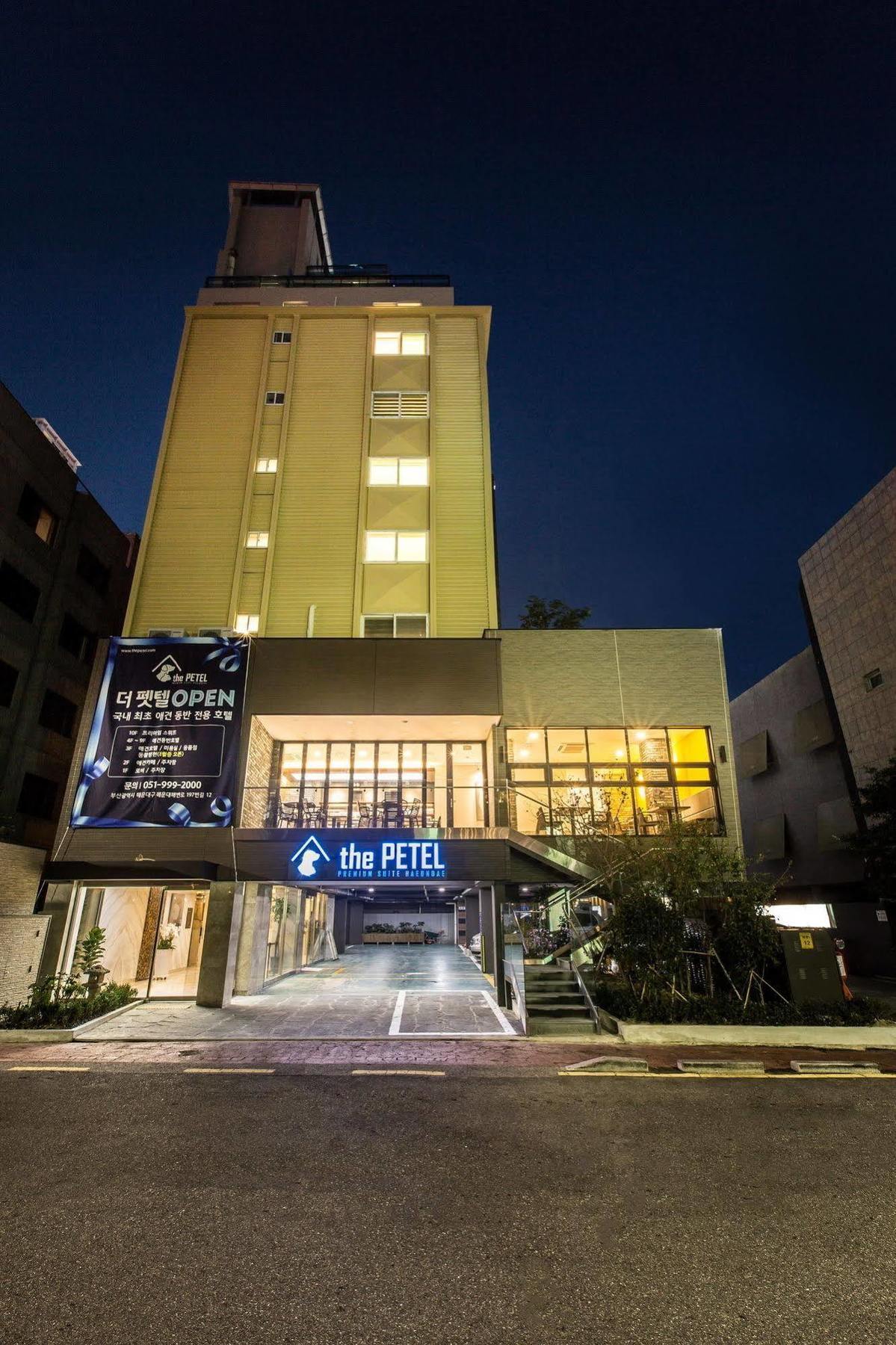 Sleep With Your Own Pet Only - The Petel Hotel Busan Exterior photo